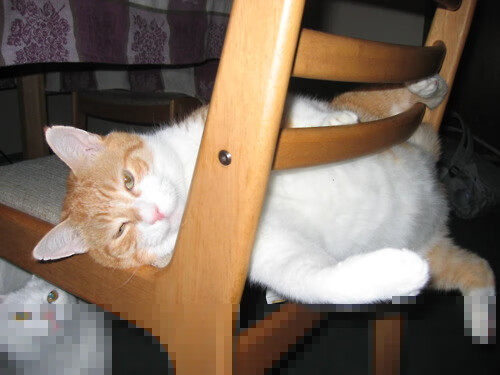 中场三人组主导控场节奏，中场组合站位